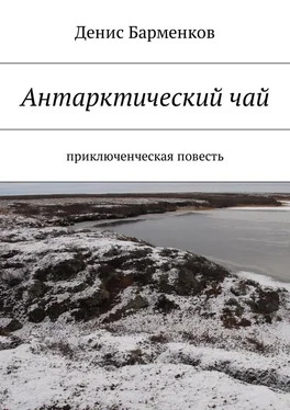 Денис Барменков Антарктический чай. Приключенческая повесть обложка книги