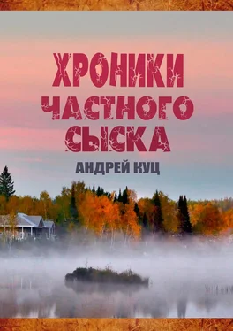 Андрей Куц Хроники частного сыска обложка книги