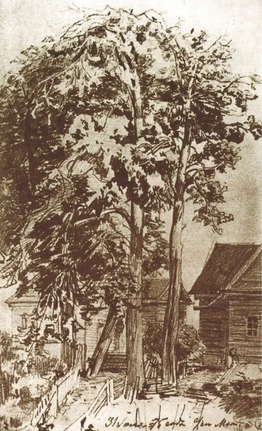 Старая Ладога Успенский монастырь Деревья перед домом 1875 г Бумага - фото 11