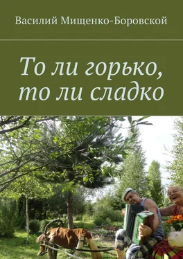 Василий Мищенко-Боровской То ли горько, то ли сладко обложка книги