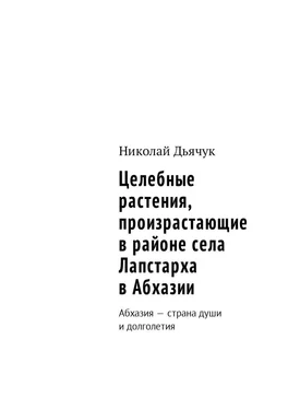 Николай Дьячук Целебные растения, произрастающие в районе села Лапстарха в Абхазии. Абхазия – страна души и долголетия обложка книги