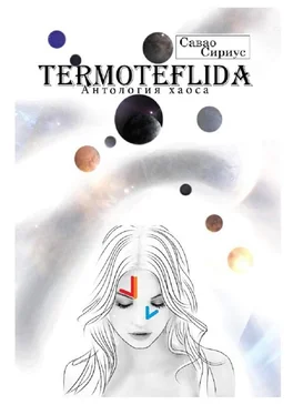 Савао Сириус TERMOTEFLIDA. Антология хаоса обложка книги