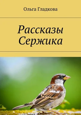 Ольга Гладкова Рассказы Сержика обложка книги