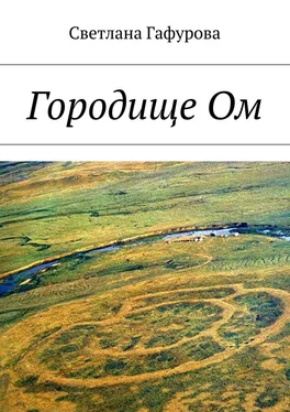 Светлана Гафурова Городище Ом обложка книги