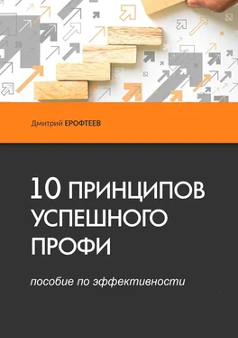 Дмитрий Ерофтеев 10 принципов успешного профи. Пособие по эффективности обложка книги