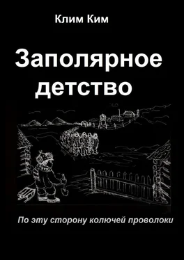 Клим Ким Заполярное детство. По эту сторону колючей проволоки обложка книги