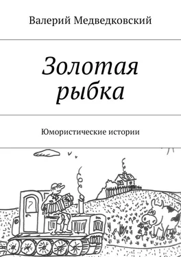 Валерий Медведковский Золотая рыбка. Юмористические истории обложка книги