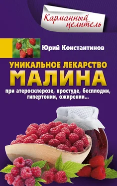 Юрий Константинов Уникальное лекарство малина. При атеросклерозе, простуде, бесплодии, гипертонии, ожирении обложка книги