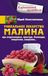 Юрий Константинов - Уникальное лекарство малина. При атеросклерозе, простуде, бесплодии, гипертонии, ожирении