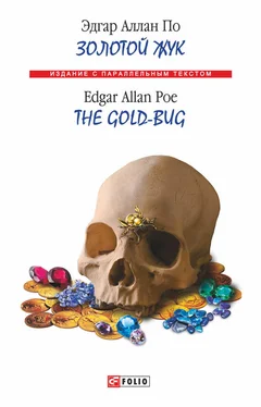 Эдгар По Золотой жук / The Gold-bug (сборник) обложка книги