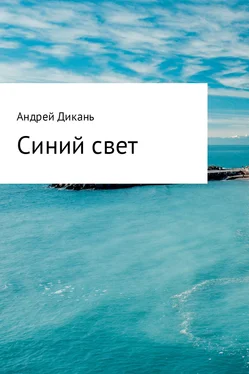 Андрей Дикань Синий свет обложка книги