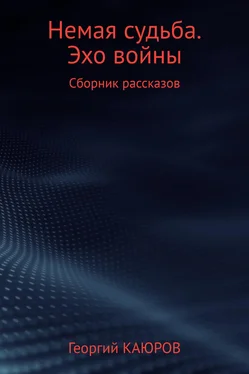 Георгий Каюров Немая судьба. Эхо войны обложка книги