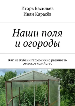 Игорь Васильев Наши поля и огороды. Как на Кубани гармонично развивать сельское хозяйство обложка книги