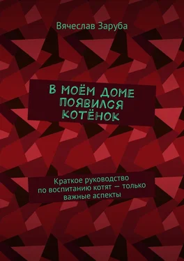 Вячеслав Заруба В моём доме появился котёнок. Краткое руководство по воспитанию котят – только важные аспекты обложка книги