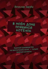 Вячеслав Заруба - В моём доме появился котёнок. Краткое руководство по воспитанию котят – только важные аспекты