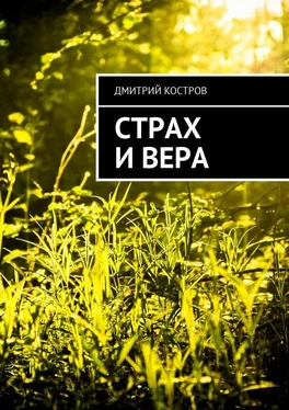 Дмитрий Костров Страх и вера обложка книги