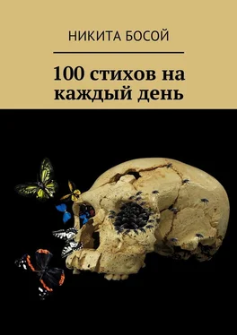 Никита Босой 100 стихов на каждый день обложка книги