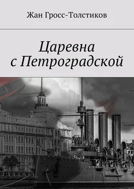 Жан Гросс-Толстиков Царевна с Петроградской обложка книги