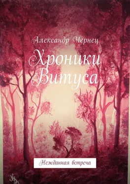 Александр Чернец Хроники Витуса. Нежданная встреча обложка книги