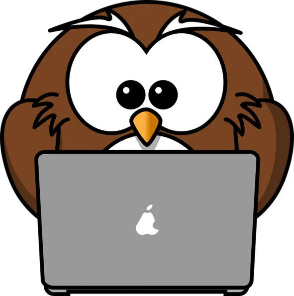 21 Понятие интернетопросов Виды интернетопроса Понятие интернетопросов - фото 8