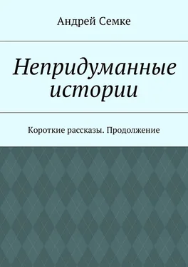 Андрей Семке Непридуманные истории. Короткие рассказы. Продолжение обложка книги