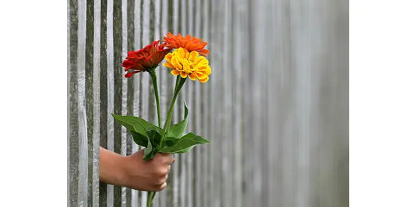 Так не бывает скажете вы Я не буду с вами спорить потому что определенно - фото 2