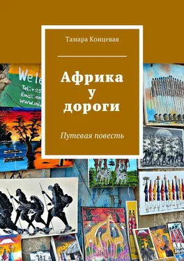 Тамара Концевая Африка у дороги. Путевая повесть обложка книги