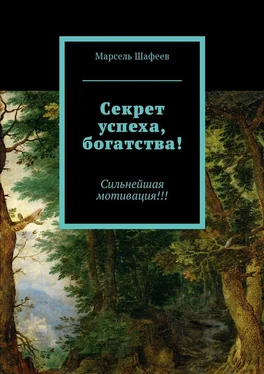 Марсель Шафеев Секрет успеха, богатства! Сильнейшая мотивация!!! обложка книги