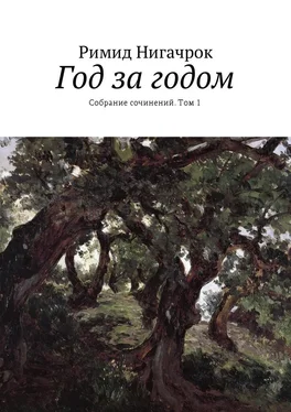 Римид Нигачрок Год за годом. Собрание сочинений. Том 1 обложка книги