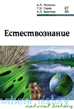 Александр Петелин Естествознание обложка книги