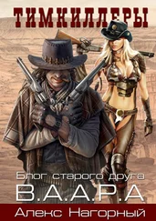 Александр Нагорный - Тимкиллеры. В.А.А.Р.А. [СИ]