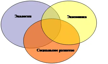 Рис 4Компоненты устойчивого рaзвития С целью окaзaния содействия - фото 4