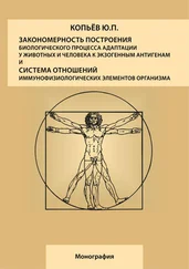 Юрий Копьев - Закономерность построения биологического процесса адаптации у животных и человека к экзогенным антигенам и естественная система общих физиологических элементов организма - монография