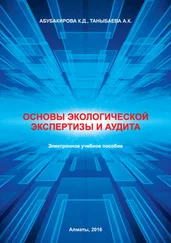 А. Таныбаева - Основы экологической экспертизы и аудита