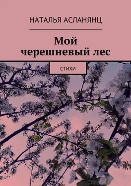 Наталья Асланянц Мой черешневый лес. Стихи обложка книги
