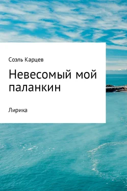 Соэль Карцев Невесомый мой паланкин обложка книги