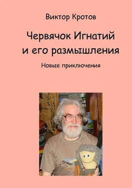 Виктор Кротов Червячок Игнатий и его размышления. Новые приключения обложка книги