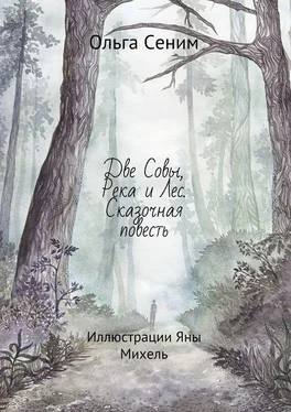 Ольга Сеним Две Совы, Река и Лес. Сказочная повесть обложка книги