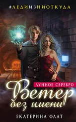 Екатерина Флат - Ветер без имени