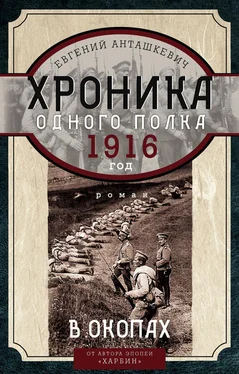 Евгений Анташкевич Хроника одного полка. 1916 год. В окопах обложка книги