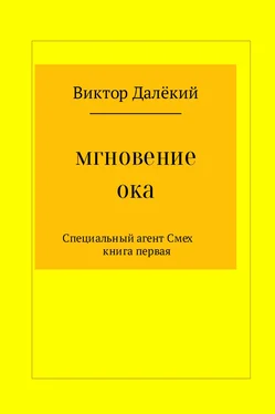 Виктор Рябов Мгновение ока обложка книги