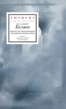 Владимир Беляев Ничего не объясняющие фрагменты прекрасного обложка книги