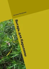 Наталья Патрацкая - Янтарь для Каролины. Ироничный роман