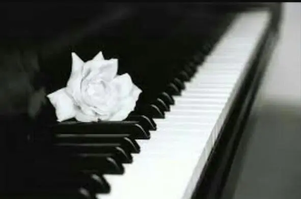 Чернобелые клавиши жизни Мне играют мелодию дней Те минорномажорные будни - фото 1