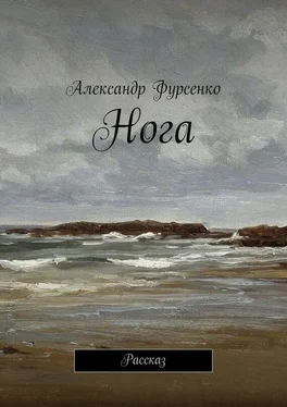 Александр Фурсенко Нога. Рассказ обложка книги