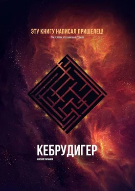 Кирилл Тарабаев Кебрудигер обложка книги