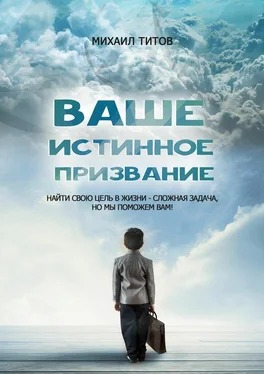 Михаил Титов Ваше истинное призвание. Найти свою цель в жизни – сложная задача, но мы поможем вам! обложка книги