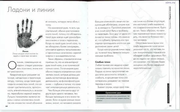 явный прогляд двух видов классов линий Главныхс богатой доказательной базой и - фото 5