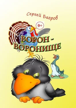 Сергей Багров Ворон-воронище. Сказка в стихах обложка книги