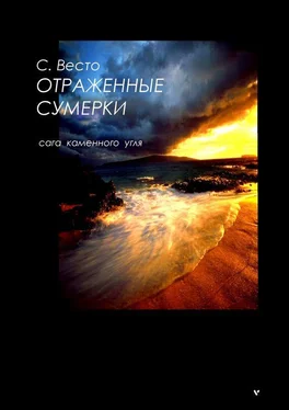 Сен Весто Отраженные сумерки. Сага каменного угля обложка книги